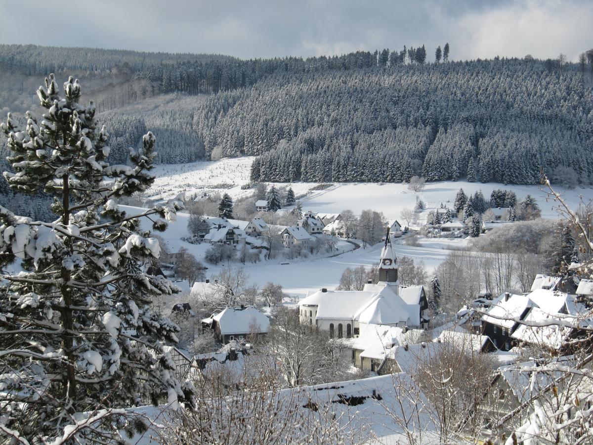 Haus Sonnenhuegel Apartment Winterberg Bagian luar foto